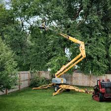 Best Hedge Trimming  in Sleepy Hollow, IL