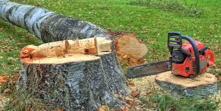 Best Hazardous Tree Removal  in Sleepy Hollow, IL