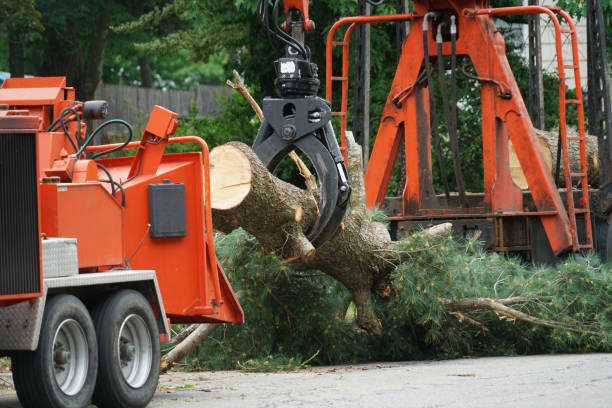 Best Emergency Tree Removal  in Sleepy Hollow, IL